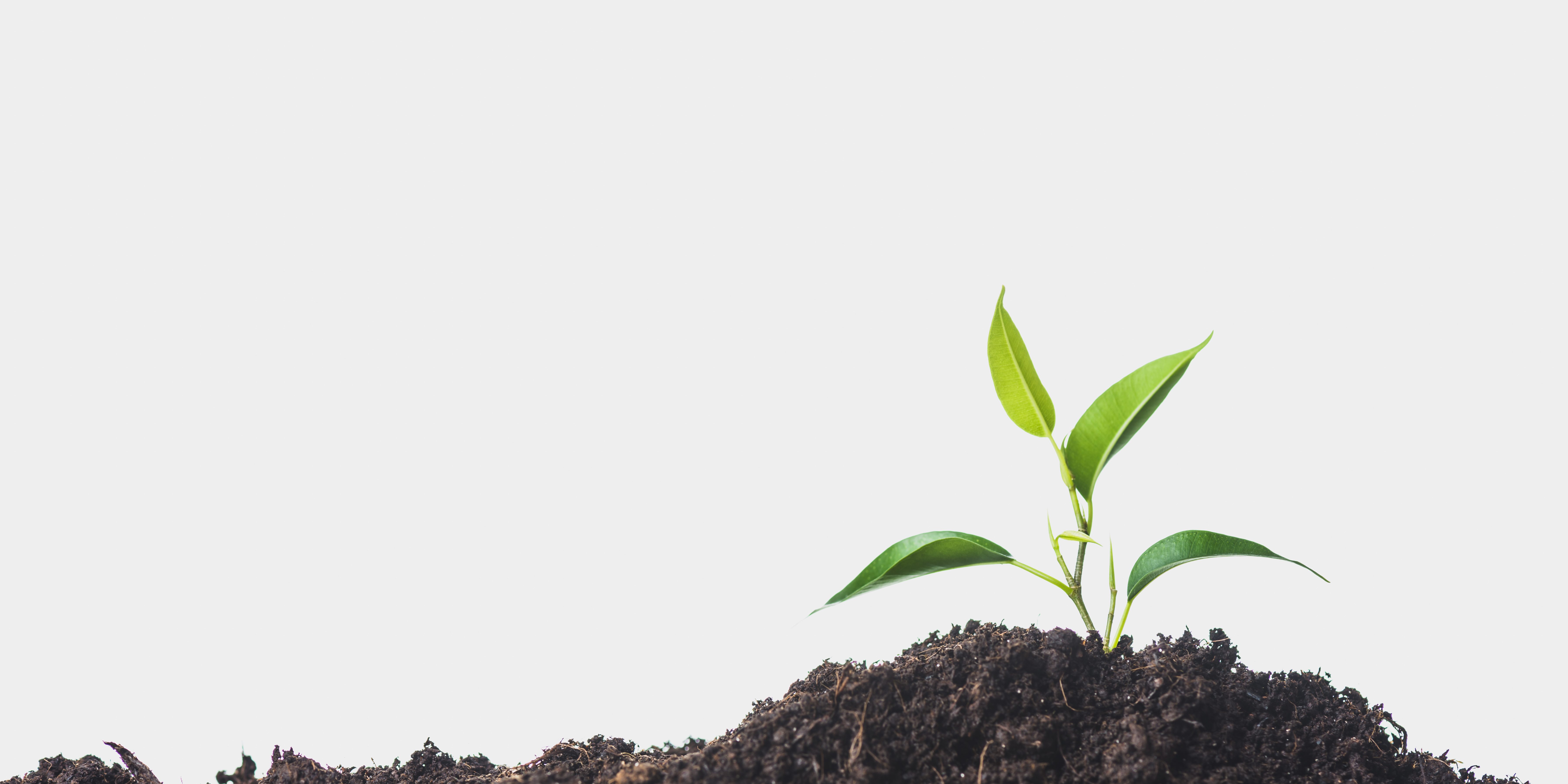 Promote Biodiversity Event – Gawande Foundation