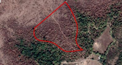 Plantation Site Exact location - Gawande Foundation