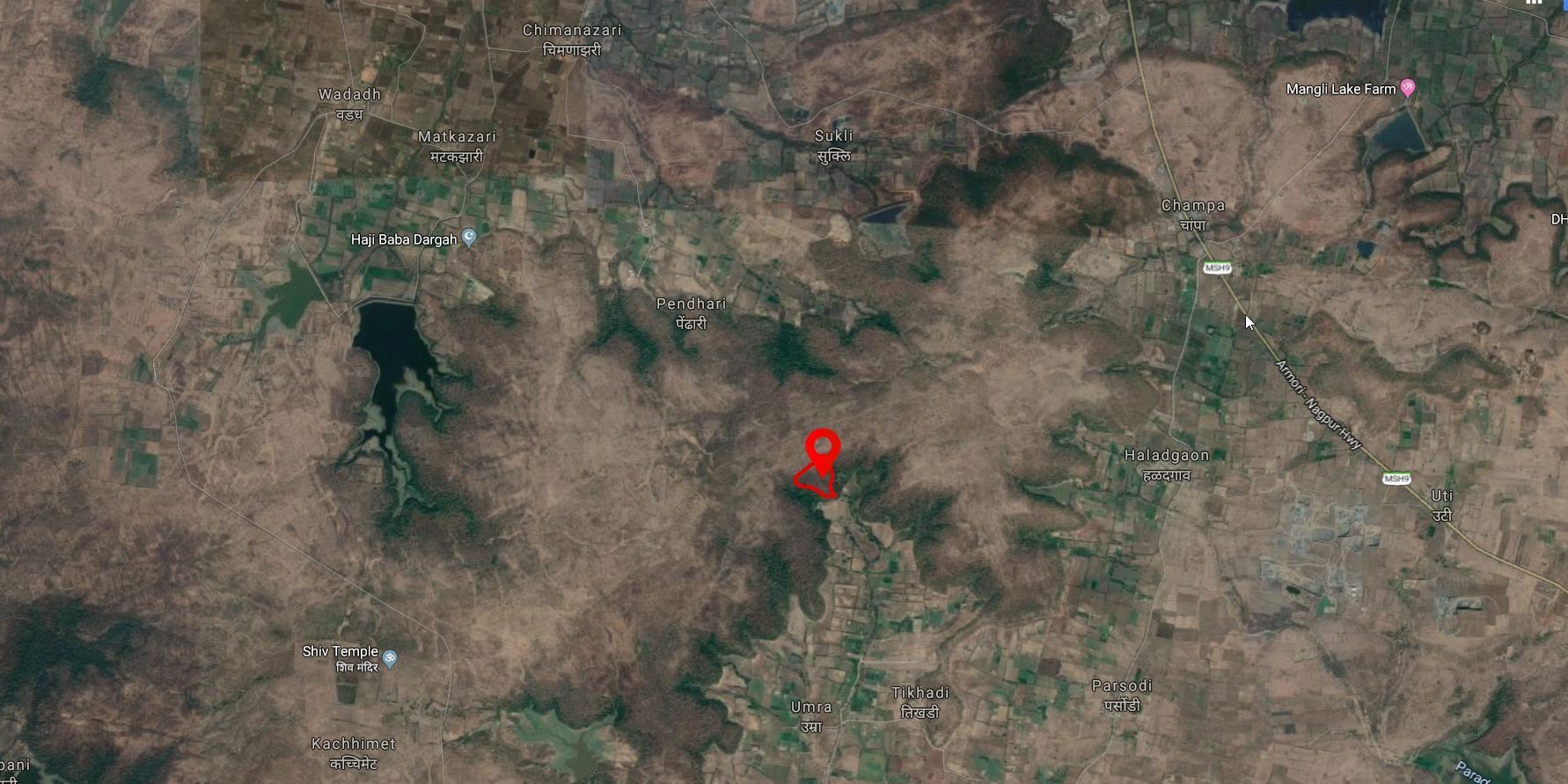 Plantation site – Gawande Foundation