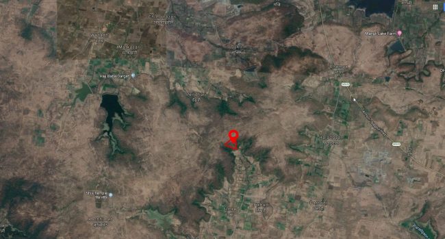 Plantation site – Gawande Foundation