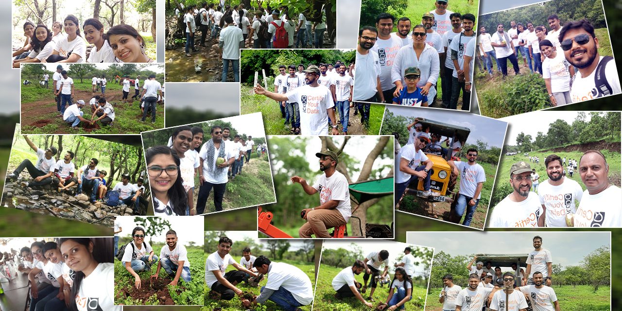 Tree Plantation by Torana Inc Tree Plantation by Torana Inc