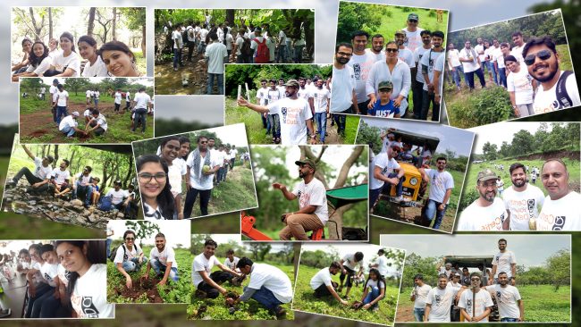 Tree Plantation by Torana Inc