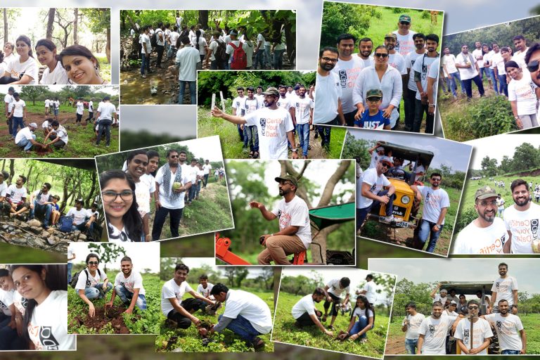 Tree Plantation by Torana Inc